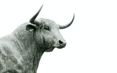 Wer erklimmt den Finanz-Olymp? Der Black Bull Award startet seine Abstimmung!